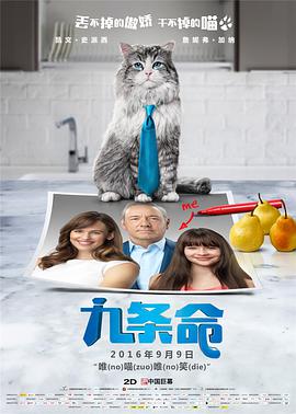 字幕全集免费观看