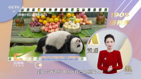 完结完整版观看